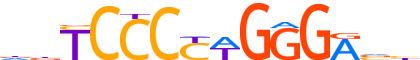 COE1.H13CORE.0.P.B motif logo (EBF1 gene, COE1_HUMAN protein)