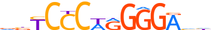 COE1.H13CORE.0.P.B reverse-complement motif logo (EBF1 gene, COE1_HUMAN protein)