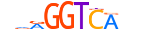 COT1.H13CORE.0.PSM.A motif logo (NR2F1 gene, COT1_HUMAN protein)