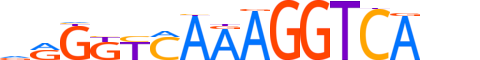 COT1.H13CORE.1.PSM.A motif logo (NR2F1 gene, COT1_HUMAN protein)