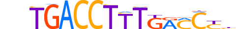 COT1.H13CORE.1.PSM.A reverse-complement motif logo (NR2F1 gene, COT1_HUMAN protein)