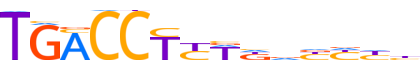 COT2.H13CORE.0.P.B reverse-complement motif logo (NR2F2 gene, COT2_HUMAN protein)