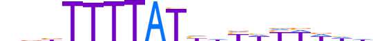 CPEB1.H13CORE.1.S.B motif logo (CPEB1 gene, CPEB1_HUMAN protein)