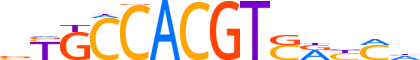 CREB3L3.H13CORE.0.PSGIB.A reverse-complement motif logo (CREB3L3 gene, CR3L3_HUMAN protein)