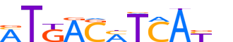 CREB5.H13CORE.0.P.B reverse-complement motif logo (CREB5 gene, CREB5_HUMAN protein)