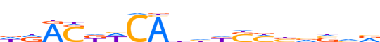 CREM.H13CORE.1.P.C reverse-complement motif logo (CREM gene, CREM_HUMAN protein)