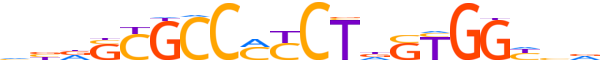 CTCF.H13CORE.0.P.B reverse-complement motif logo (CTCF gene, CTCF_HUMAN protein)