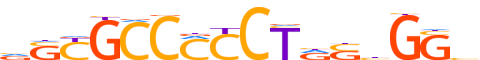 CTCFL.H13CORE.0.P.B reverse-complement motif logo (CTCFL gene, CTCFL_HUMAN protein)