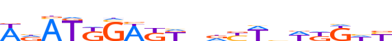 CUX1.H13CORE.2.P.C motif logo (CUX1 gene, CUX1_HUMAN protein)