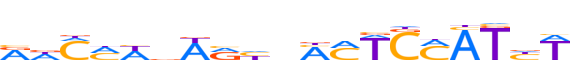 CUX1.H13CORE.2.P.C reverse-complement motif logo (CUX1 gene, CUX1_HUMAN protein)