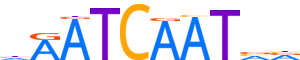 CUX2.H13CORE.0.P.C reverse-complement motif logo (CUX2 gene, CUX2_HUMAN protein)