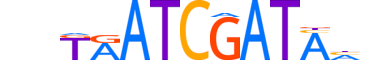 CUX2.H13CORE.1.SM.B reverse-complement motif logo (CUX2 gene, CUX2_HUMAN protein)