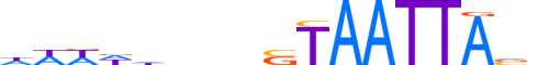 DLX1.H13CORE.0.S.B reverse-complement motif logo (DLX1 gene, DLX1_HUMAN protein)