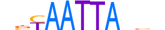 DLX1.H13CORE.1.PSM.A reverse-complement motif logo (DLX1 gene, DLX1_HUMAN protein)