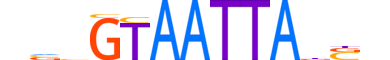 DLX3.H13CORE.0.SM.B reverse-complement motif logo (DLX3 gene, DLX3_HUMAN protein)