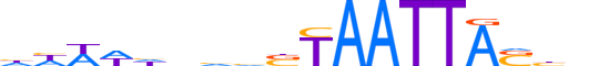 DLX3.H13CORE.1.S.B motif logo (DLX3 gene, DLX3_HUMAN protein)