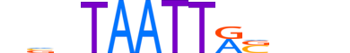 DLX4.H13CORE.0.SM.B motif logo (DLX4 gene, DLX4_HUMAN protein)