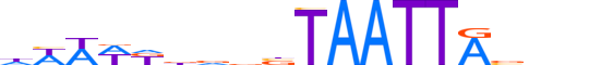 DLX4.H13CORE.1.S.C motif logo (DLX4 gene, DLX4_HUMAN protein)