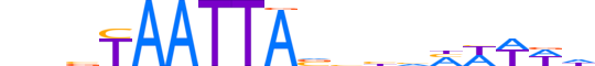 DLX4.H13CORE.1.S.C reverse-complement motif logo (DLX4 gene, DLX4_HUMAN protein)