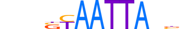 DLX5.H13CORE.0.PSM.A reverse-complement motif logo (DLX5 gene, DLX5_HUMAN protein)