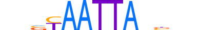 DLX6.H13CORE.0.SM.B reverse-complement motif logo (DLX6 gene, DLX6_HUMAN protein)