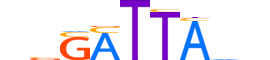 DMBX1.H13CORE.0.SM.B motif logo (DMBX1 gene, DMBX1_HUMAN protein)