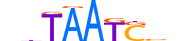 DMBX1.H13CORE.0.SM.B reverse-complement motif logo (DMBX1 gene, DMBX1_HUMAN protein)