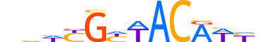 DMRT1.H13CORE.1.M.C motif logo (DMRT1 gene, DMRT1_HUMAN protein)