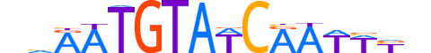 DMRT3.H13CORE.0.S.C motif logo (DMRT3 gene, DMRT3_HUMAN protein)