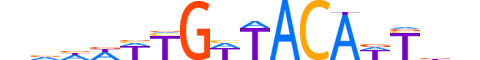 DMRTA.H13CORE.0.SM.B reverse-complement motif logo (DMRTA1 gene, DMRTA_HUMAN protein)