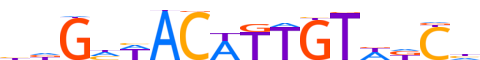 DMRTB.H13CORE.0.P.C reverse-complement motif logo (DMRTB1 gene, DMRTB_HUMAN protein)