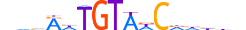 DMTA2.H13CORE.0.SM.B motif logo (DMRTA2 gene, DMTA2_HUMAN protein)