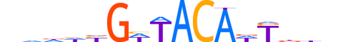 DMTA2.H13CORE.0.SM.B reverse-complement motif logo (DMRTA2 gene, DMTA2_HUMAN protein)