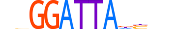 DPRX.H13CORE.0.SM.B motif logo (DPRX gene, DPRX_HUMAN protein)