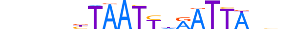 DRGX.H13CORE.0.S.B reverse-complement motif logo (DRGX gene, DRGX_HUMAN protein)