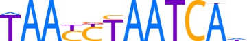 DUX4.H13CORE.0.P.B reverse-complement motif logo (DUX4 gene, DUX4_HUMAN protein)