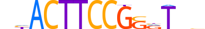 ELF5.H13CORE.1.S.B reverse-complement motif logo (ELF5 gene, ELF5_HUMAN protein)