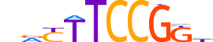 ELK4.H13CORE.0.PSM.A reverse-complement motif logo (ELK4 gene, ELK4_HUMAN protein)
