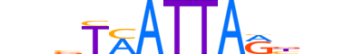 EMX1.H13CORE.0.SM.B motif logo (EMX1 gene, EMX1_HUMAN protein)