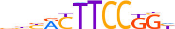 ERG.H13CORE.0.P.B reverse-complement motif logo (ERG gene, ERG_HUMAN protein)