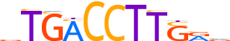 ERR3.H13CORE.0.PSM.A reverse-complement motif logo (ESRRG gene, ERR3_HUMAN protein)