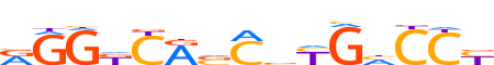 ESR2.H13CORE.0.P.B motif logo (ESR2 gene, ESR2_HUMAN protein)