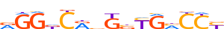 ESR2.H13CORE.0.P.B reverse-complement motif logo (ESR2 gene, ESR2_HUMAN protein)