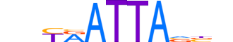 ESX1.H13CORE.0.SM.B motif logo (ESX1 gene, ESX1_HUMAN protein)