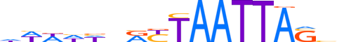 ESX1.H13CORE.1.S.B motif logo (ESX1 gene, ESX1_HUMAN protein)