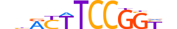 ETS1.H13CORE.0.S.B reverse-complement motif logo (ETS1 gene, ETS1_HUMAN protein)