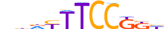 ETV2.H13CORE.0.S.B reverse-complement motif logo (ETV2 gene, ETV2_HUMAN protein)