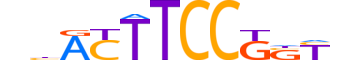 ETV3.H13CORE.0.SM.B reverse-complement motif logo (ETV3 gene, ETV3_HUMAN protein)