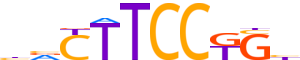 ETV4.H13CORE.0.P.B reverse-complement motif logo (ETV4 gene, ETV4_HUMAN protein)