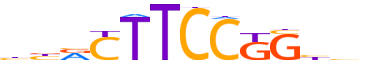 ETV5.H13CORE.1.PM.A reverse-complement motif logo (ETV5 gene, ETV5_HUMAN protein)